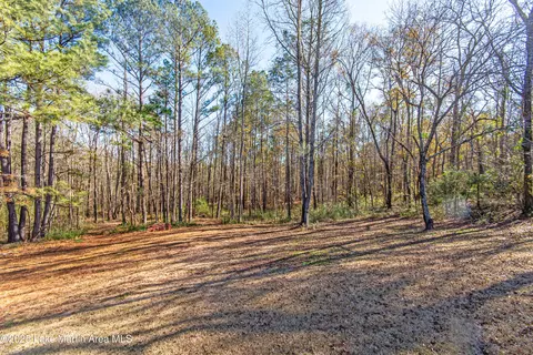 11056 Central Plank Rd, Eclectic, AL 36024 photo 42