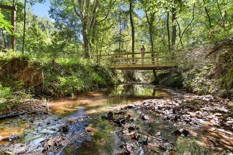 561 Deer Trail Rd, Daviston, AL 36256 photo 69