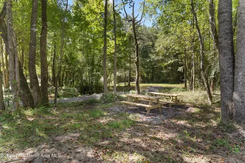 561 Deer Trail Rd, Daviston, AL 36256 photo 66