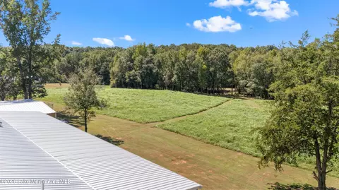 561 Deer Trail Rd, Daviston, AL 36256 photo 14