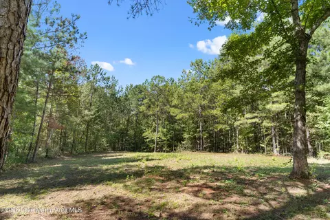 561 Deer Trail Rd, Daviston, AL 36256 photo 64