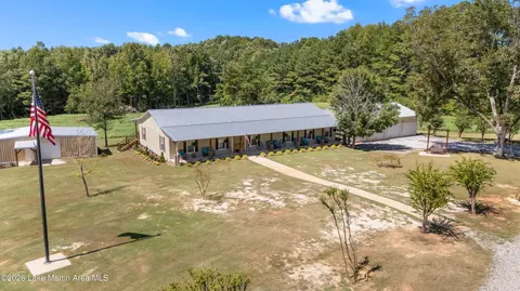 561 Deer Trail Rd, Daviston, AL 36256 photo 7