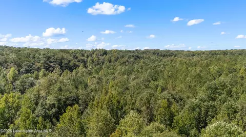 561 Deer Trail Rd, Daviston, AL 36256 photo 65
