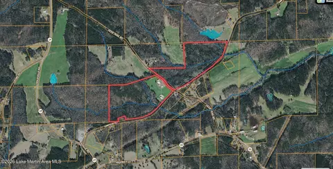 561 Deer Trail Rd, Daviston, AL 36256 photo 3