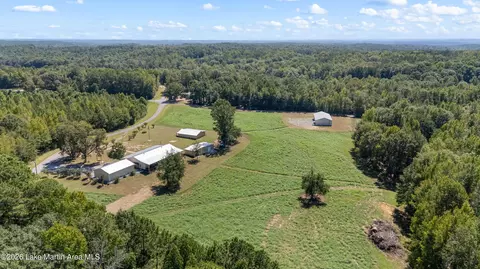 561 Deer Trail Rd, Daviston, AL 36256 photo 4