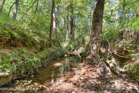 561 Deer Trail Rd, Daviston, AL 36256 photo 70