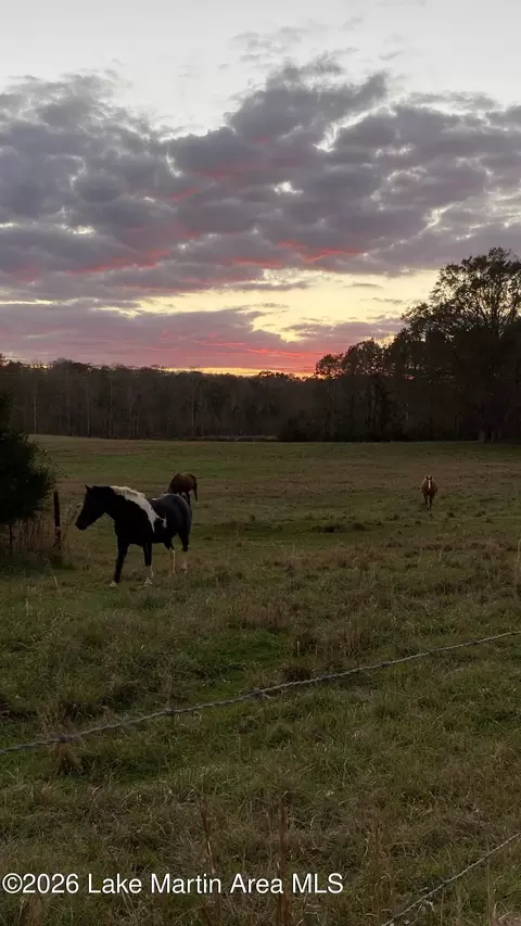 1751 Rivendell Rd, Dadeville, AL 36853