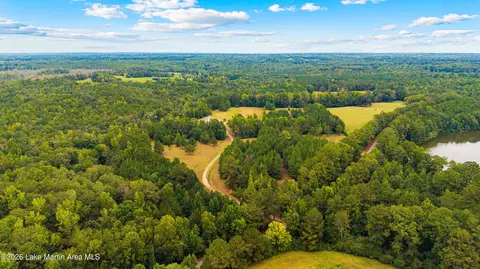 1725 Claud Fleahop Rd, Eclectic, AL 36024 photo 34