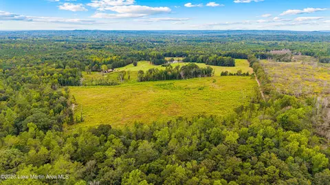 1725 Claud Fleahop Rd, Eclectic, AL 36024 photo 48