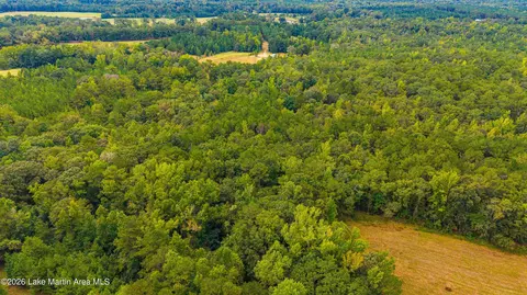 1725 Claud Fleahop Rd, Eclectic, AL 36024 photo 42