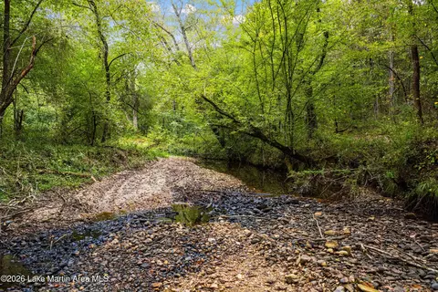 1725 Claud Fleahop Rd, Eclectic, AL 36024 photo 26