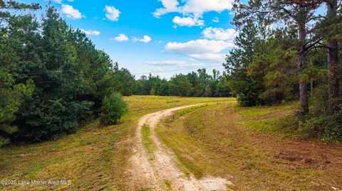 1725 Claud Fleahop Rd, Eclectic, AL 36024 photo 4