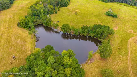 1725 Claud Fleahop Rd, Eclectic, AL 36024 photo 39