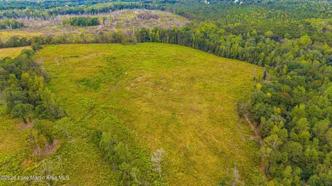 1725 Claud Fleahop Rd, Eclectic, AL 36024 photo 47
