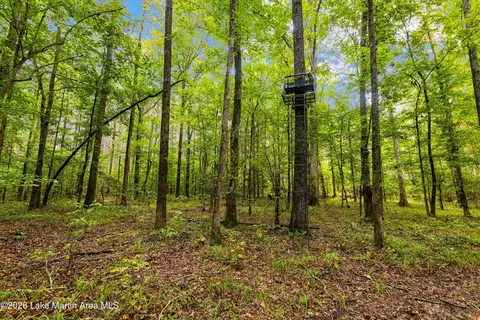 1725 Claud Fleahop Rd, Eclectic, AL 36024 photo 23
