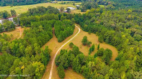 1725 Claud Fleahop Rd, Eclectic, AL 36024 photo 43