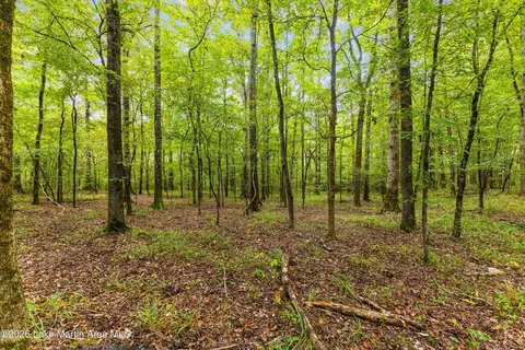 1725 Claud Fleahop Rd, Eclectic, AL 36024 photo 21