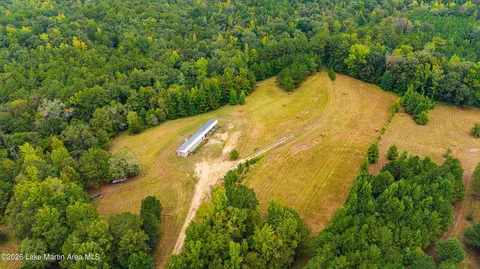 1725 Claud Fleahop Rd, Eclectic, AL 36024 photo 5