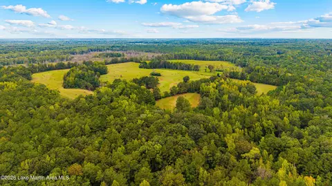 1725 Claud Fleahop Rd, Eclectic, AL 36024 photo 37