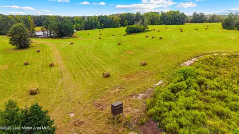 1725 Claud Fleahop Rd, Eclectic, AL 36024 photo 3