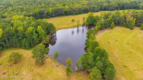 1725 Claud Fleahop Rd, Eclectic, AL 36024 photo 2