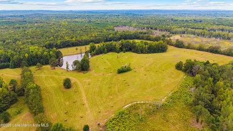 1725 Claud Fleahop Rd, Eclectic, AL 36024 photo 44