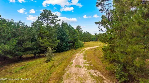 1725 Claud Fleahop Rd, Eclectic, AL 36024 photo 32