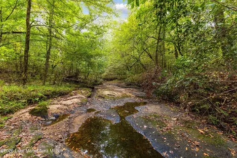 1725 Claud Fleahop Rd, Eclectic, AL 36024 photo 30