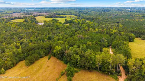 1725 Claud Fleahop Rd, Eclectic, AL 36024 photo 36