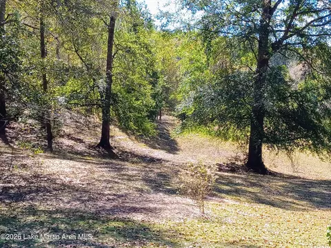 Exterior - 11405 Meriwether Trl, Grady, AL 36036 photo 15 of 16