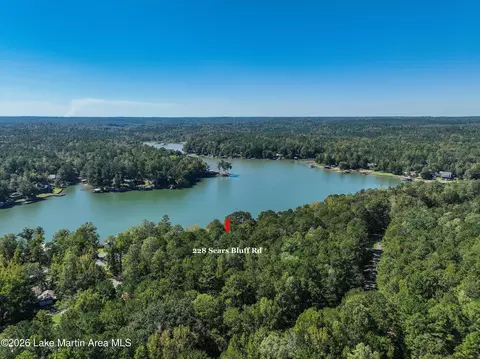 View/Area - 228 Sears Bluff Rd, Eclectic, AL 36024 photo 8 of 9