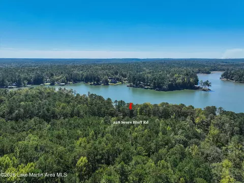 View/Area - 228 Sears Bluff Rd, Eclectic, AL 36024 photo 7 of 9