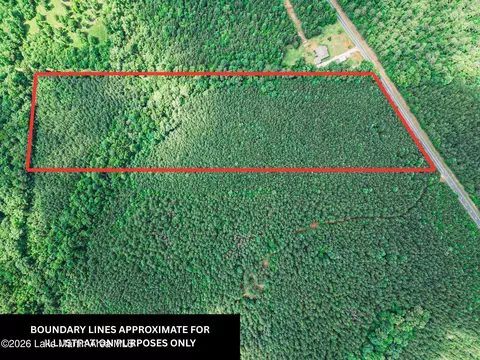 Parcel 1 Hwy 63 N, Goodwater, AL 35072