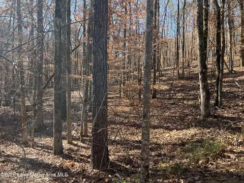 lot16 Fern Brook Dr, Dadeville, AL 36853