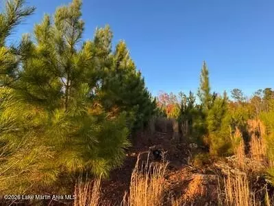 lot Apt 3 Germanys Ferry Rd, Daviston, AL 36256