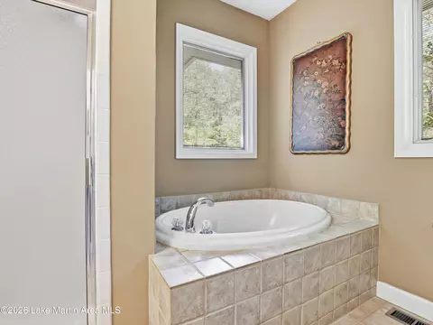 Bath - 451 Hagan Rd, Eclectic, AL 36024 photo 3 of 7