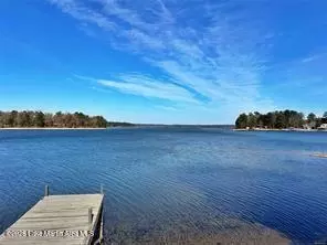 300 Point Rd, Eclectic, AL 36024
