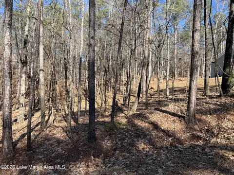 lot15 Big Buck Ln, Dadeville, AL 36853