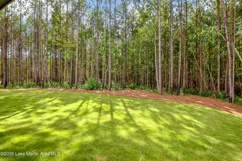Exterior - 882 Tower St, Daviston, AL 36256 photo 3 of 5