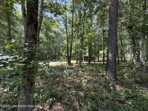 357 Walkabout Ranch Rd, Daviston, AL 36256 photo 21