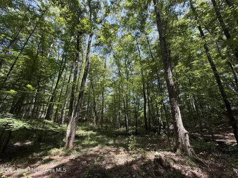 357 Walkabout Ranch Rd, Daviston, AL 36256 photo 6