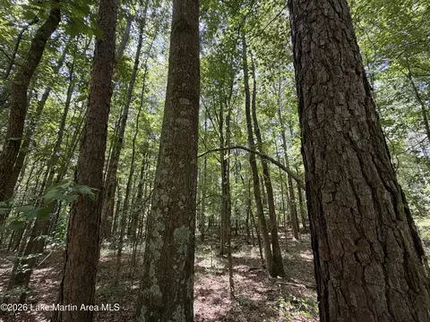 357 Walkabout Ranch Rd, Daviston, AL 36256 photo 9