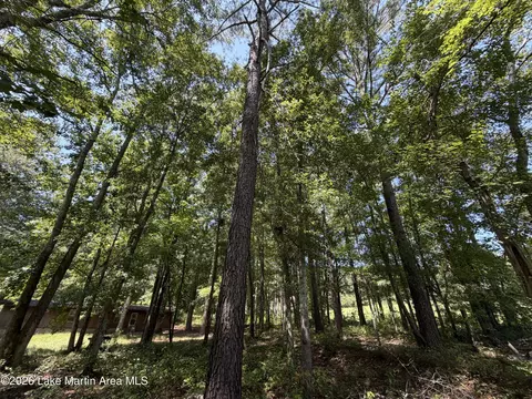 357 Walkabout Ranch Rd, Daviston, AL 36256 photo 20