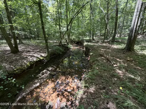 357 Walkabout Ranch Rd, Daviston, AL 36256 photo 28