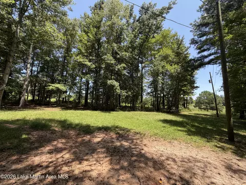 357 Walkabout Ranch Rd, Daviston, AL 36256 photo 22