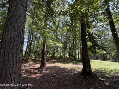 357 Walkabout Ranch Rd, Daviston, AL 36256 photo 11
