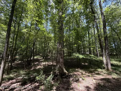 357 Walkabout Ranch Rd, Daviston, AL 36256 photo 7