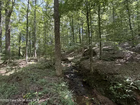 357 Walkabout Ranch Rd, Daviston, AL 36256 photo 27