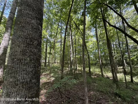 357 Walkabout Ranch Rd, Daviston, AL 36256 photo 8