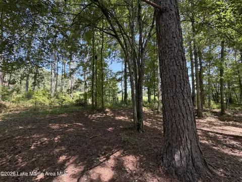 357 Walkabout Ranch Rd, Daviston, AL 36256 photo 12